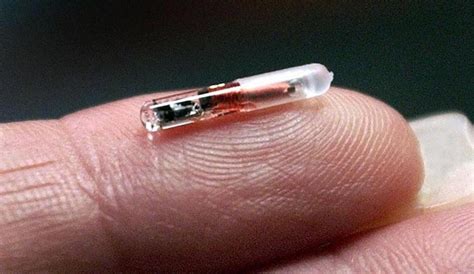 implanted rfid chips for employee|For The First Time, a US Company Is Implanting Microchips in Its .